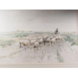 George Taylor: watercolours, shepherd with sheep and sheep dog, 19 1/2" x 28", in wooden strip frame