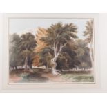 James Holworthy: watercolours, "Trees", 16 14" x 12", in gilt strip frame