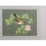 Ray Styles: two watercolours, "Goldcrest", 6" x 8", and "Kingfisher, 5 1/4" x 6 1/4", in wooden