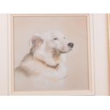 Janet Pidoux: watercolours, portrait of "Cassidy 9" square, in gilt strip frame, a Rowlandson