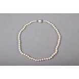 A pearl single-strand necklace, clasp stamped 18k