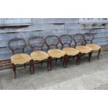 A set of six mid Victorian carved walnut balloon back dining chairs with stuffed over seats, on