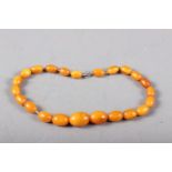 A butterscotch amber? graduated beaded necklace, 15 1/2" long overall, 28g