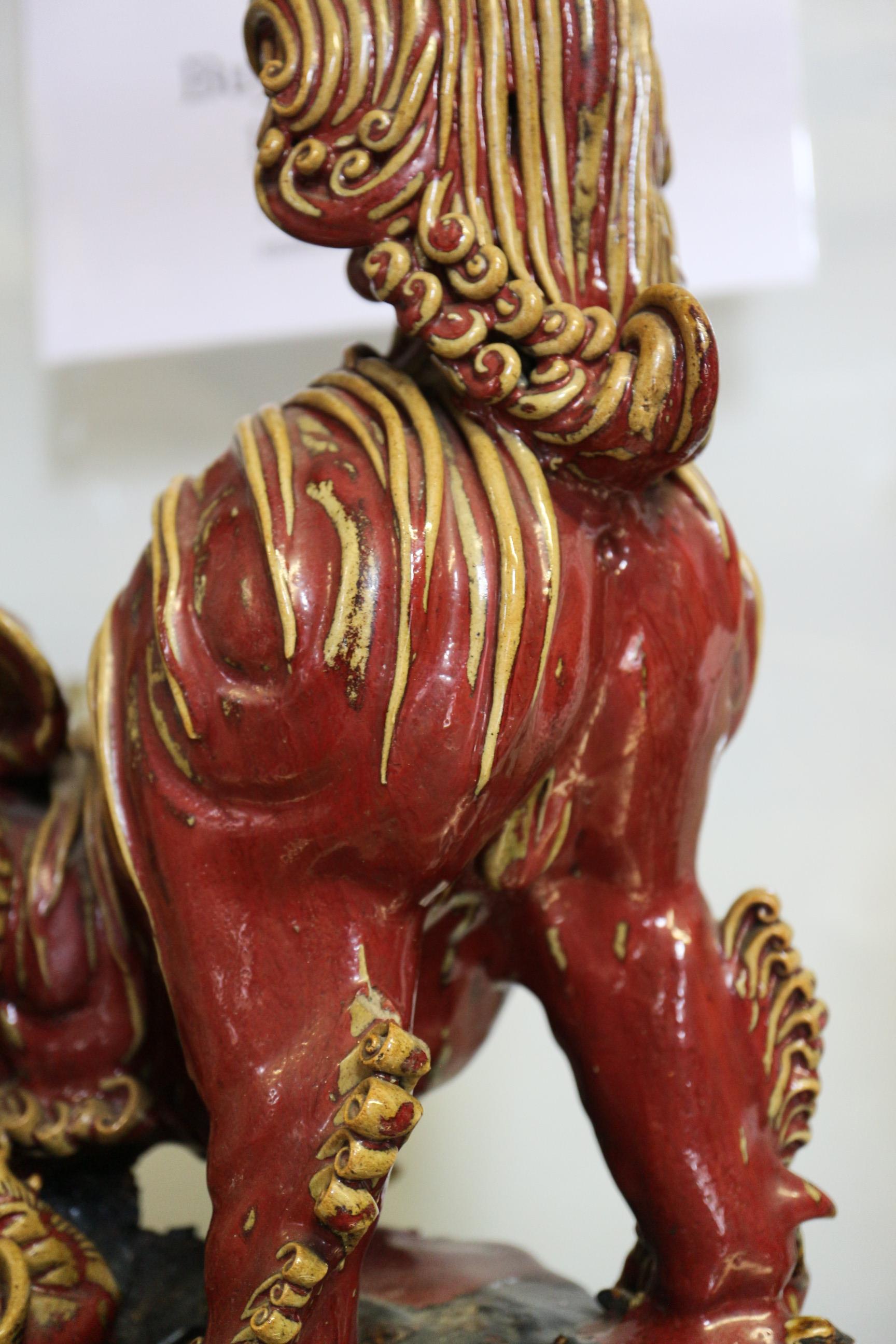 A Chinese red and brown glazed porcelain model of a Dog of Fo, on hardwood stand, 16" high - Image 13 of 17