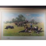 A David Shepherd signed limited edition print, "At Readiness", 40/850, in gilt frame