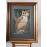 Mervyn Seagrove: watercolours, "Greater Horned Owl", 15 x 10 1/2", in gilt strip frame
