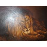 C I: oil on canvas, lion and lioness, 19 3/4" x 29 1/2", in wooden strip frame