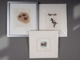 Peter Scott: three limited edition coloured prints, "Musk Ox", in strip frame, and "Pacific