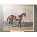 Two 19th century coloured aquatints, racehorses, in gilt frames