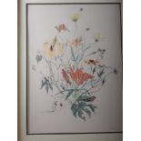 C Augeri: a pair of colour prints, still life seasonal flowers, a watercolour autumn leaves, a