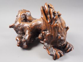 A Chinese carved root, formed as a dragon, 15" wide x 8 3/4" high