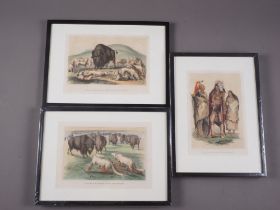 A collection of 19th century American colour lithographs, wildlife and native North American