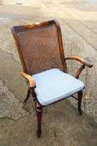 A polished as walnut elbow chair with cane seat and back panels, on turned and stretchered supports