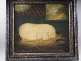 Dan Dunton b c.1950: a pair of Naïve School oils on canvas, prize pigs (monogrammed DD),