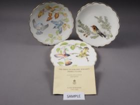 Ten Royal Worcester limited edition hand-painted collectors plates, "The Birds of Dorothy