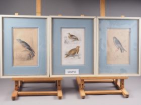 A set of six prints, studies of birds, in common frame, another set of four, in common frame, and