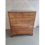 A mahogany chest of two short over three long drawers having ornate brass drop handles and brass