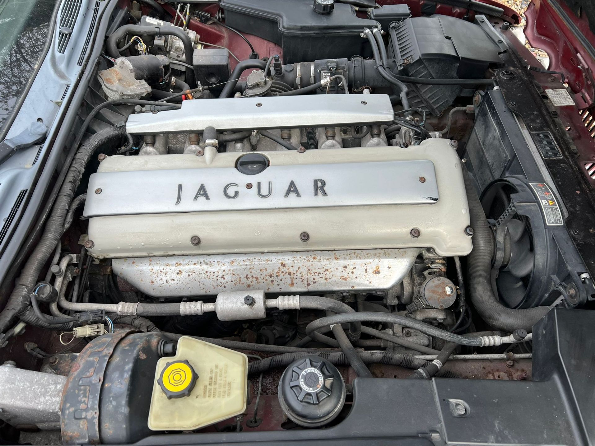 Jaguar XJ6 Sport 1995 - Image 18 of 25