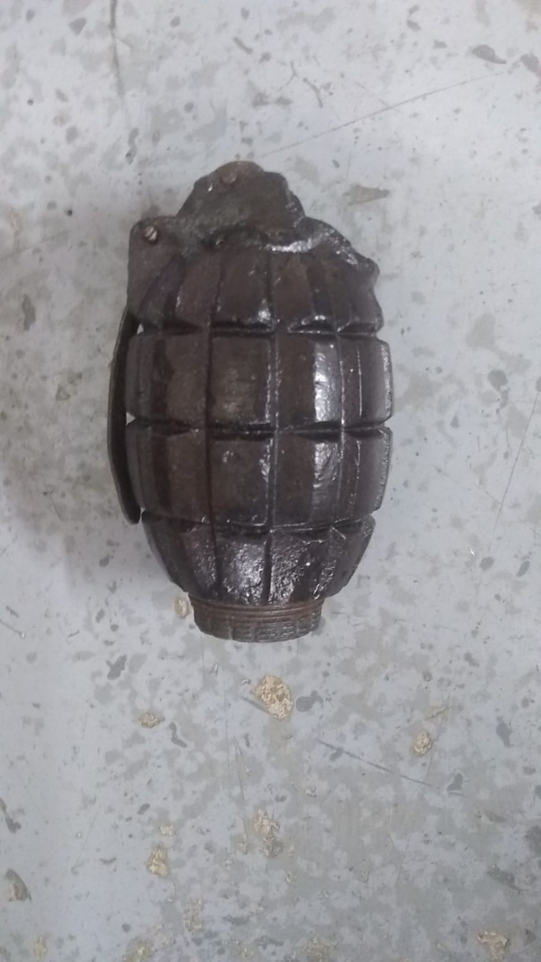 An inert WWI British mils grenade. This lot will be available to collect in person 48 hours after - Image 3 of 3