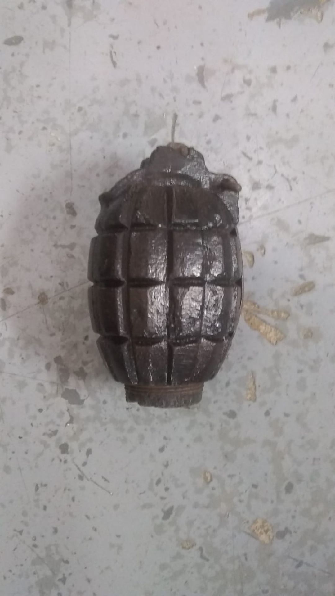 An inert WWI British mils grenade. This lot will be available to collect in person 48 hours after