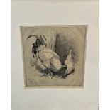 WINIFRED AUSTEN (1876 - 1964) ARR. A PENCIL SIGNED ETCHING OF CHICKENS UNFRAMED 24 X 23cms