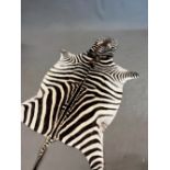 A ZEBRA SKIN WITH ITS HEAD FLATTENED AND WITH ITS TAIL. 256 x 146cms.