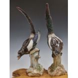 A PAIR OF MEISSEN FIGURES OF MAGPIES CALLING FROM TREE TRUNK PERCHES, CROSSED SWORDS MARKS.   H