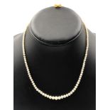A PRINCESS ROW OF VINTAGE GRADUATED CULTURED PEARLS COMPLETE WITH A DIAMOND SET CLASP, UNMARKED