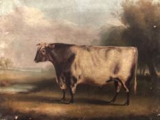 WILLIAM HENRY DAVIS (1786-1865), A PRIZE BULL STANDING IN A LANDSCAPE, OIL ON CANVAS, SIGNED AND