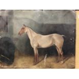 19th C. BRITISH SCHOOL, A HUNTER STALLION IN ITS STABLE, UNFRAMED OIL ON CANVAS, INDISTINCTLY SIGNED