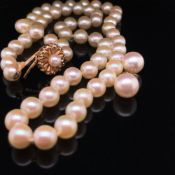 A PRINCESS ROW OF GOLDEN CREAM CULTURED KNOTTED PEARLS. APPROX PEARL DIAMETER 6.6mm. LENGTH 48cms.