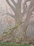 MAURICE SHEPPARD (B. 1947), ARR. THE FALLEN BRANCH, OIL ON CANVAS, SIGNED LOWER RIGHT. 24.5 x 19cms.