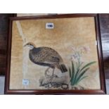 A CHINESE WATERCOLOUR OF A FISH AND ANOTHER OF A QUAIL LIKE BIRD PERCHED ON A ROCK BY FLOWERS. 28