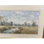 ROY PERRY (1935-93), ARR. CATTLE IN A WATER MEADOW IN THE COLN VALLEY, WATERCOLOUR, SIGNED LOWER RIG