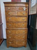 A REPRODUCTION BURR WALNUT BOW FRONT CHEST ON CHEST OF SEVEN DRAWERS ON BRACKET FEET. W 77 x D 50