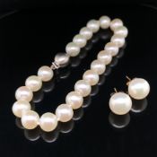 A CULTURED PEARL BRACELET COMPLETE WITH AN 18ct WHITE GOLD SATIN FINISH BALL CLASP, THE CLASP SIGNED