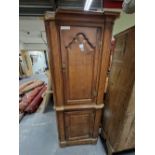 AN EARLY 19th C. PINE CORNER CUPBOARD, THE UPPER OF THE TWO PANELLED DOORS OGEE ARCHED, BOTH BETWEEN