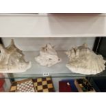 THREE CONCH SHELLS