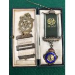 TWO ROYAL ANTEDILUVIAN ORDER OF BUFFALOS JEWEL ETC.