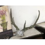 A PAIR OF COMPOSITION STONE ANTLERS