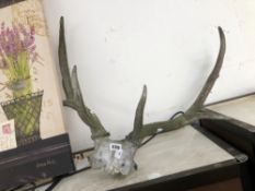A PAIR OF COMPOSITION STONE ANTLERS