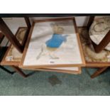 SIX FRAMED PRINTS OF BEATRIX POTTER CHARACTERS PUBLISHED BY WARNE