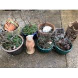 A QUANTITY OF GLAZED AND TERRACOTTA GARDEN PLANTERS AND A STONE CAT FIGURE