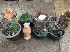 A QUANTITY OF GLAZED AND TERRACOTTA GARDEN PLANTERS AND A STONE CAT FIGURE