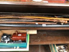 A COLLECTION OF WALKING STICKS AND CANES