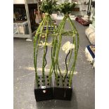 A PAIR OF BAMBOO STEM ARRANGEMENTS, EACH ABOUT A CENTRAL ORCHID FLOWER