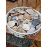 A WASHBOWL CONTAINING SHELLS ETC.
