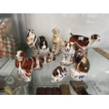SEVEN ROYAL CROWN DERBY DOG FIGURE PAPERWEIGHTS TOGETHER WITH A KINGFISHER.