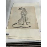 A SMALL PEN AND INK WAS DRAWING OF A CHEETAH, TOGETHER WITH TWO ETCHINGS BU SYLVIA LESTER.