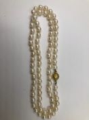 A KNOTTED ROW OF CULTURED PEARLS, PEARL DIAMETER 6.5 - 6.7mm, LENGTH 66cms. THE CLASP STAMPED 750,